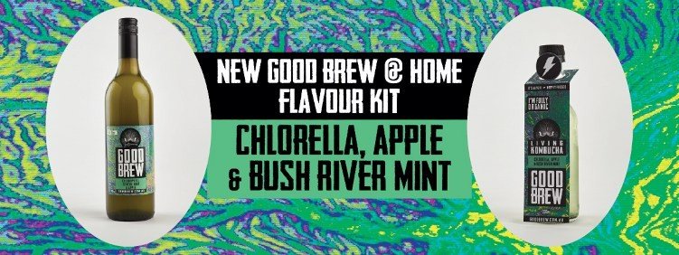 The Good Brew Company | Brew Your Own While You’re Stuck At Home