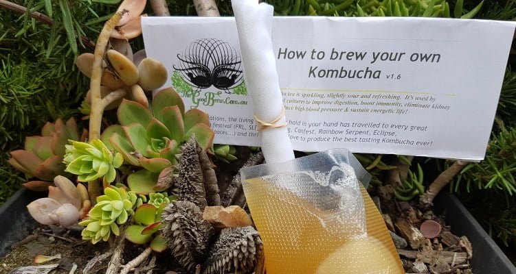 Now Offering Free Shipping On All Products To Local Suburbs