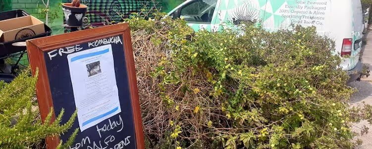 Our Community Garden – Fresh, Organic And Free