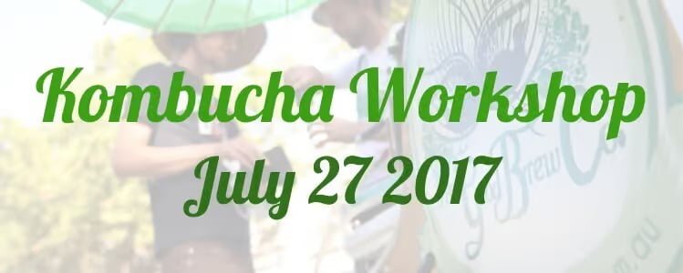 Wanna Brew Your Own Kombucha? Join Our Next Brewing Workshop On July 27