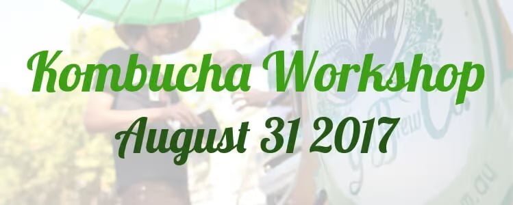 Learn The Tricks Of Brewing Your Own Kombucha At Our August Brewing Workshop