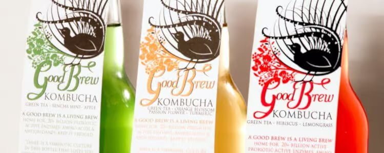 Get Free Shipping On Kombucha Cases Just By Signing Up