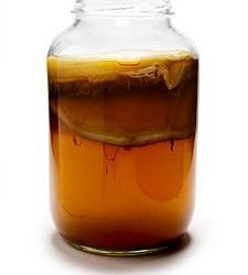 5 Signs Your Kombucha Might Be Dead (And How to Spot a Real Brew)