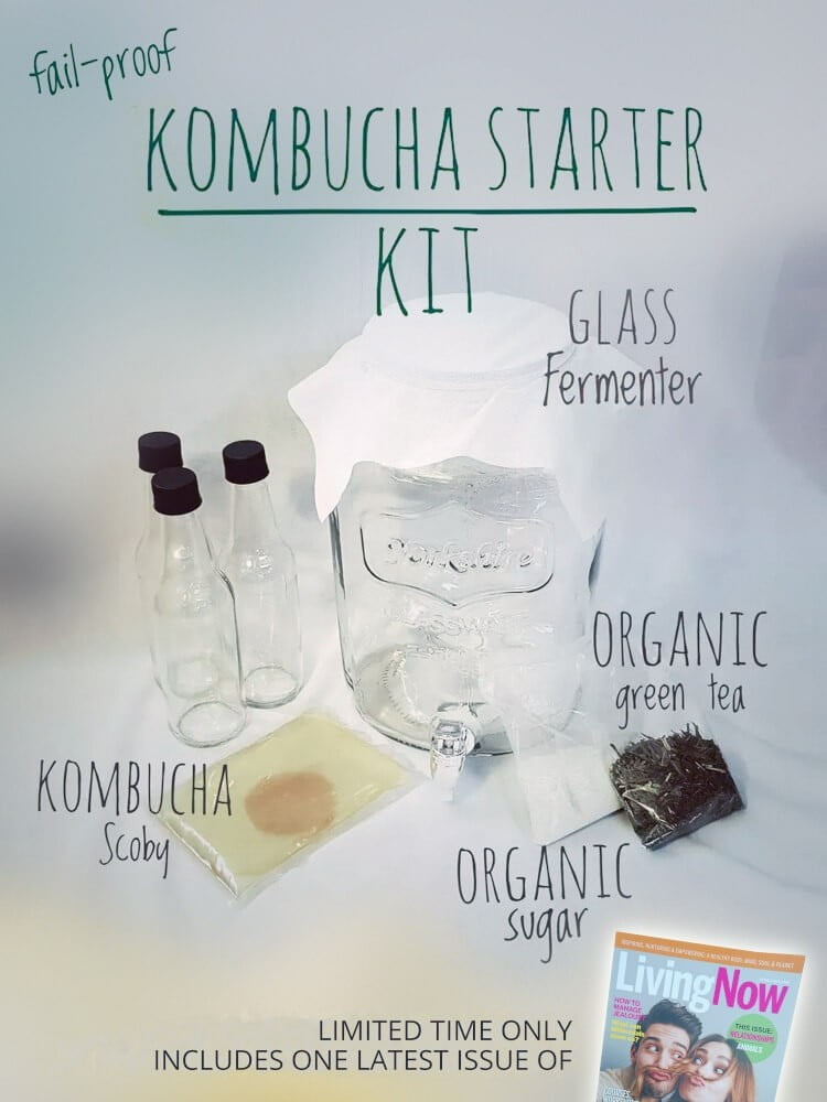 Best Kombucha Starter Kit (Make Your Own!)
