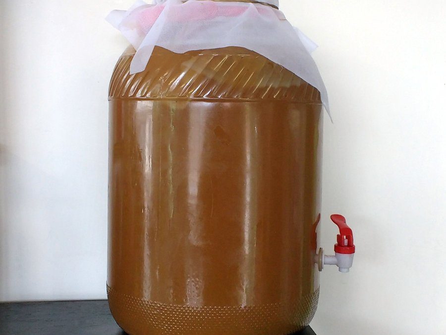 Debunking Myths About Kombucha: What’s True and What’s Not?