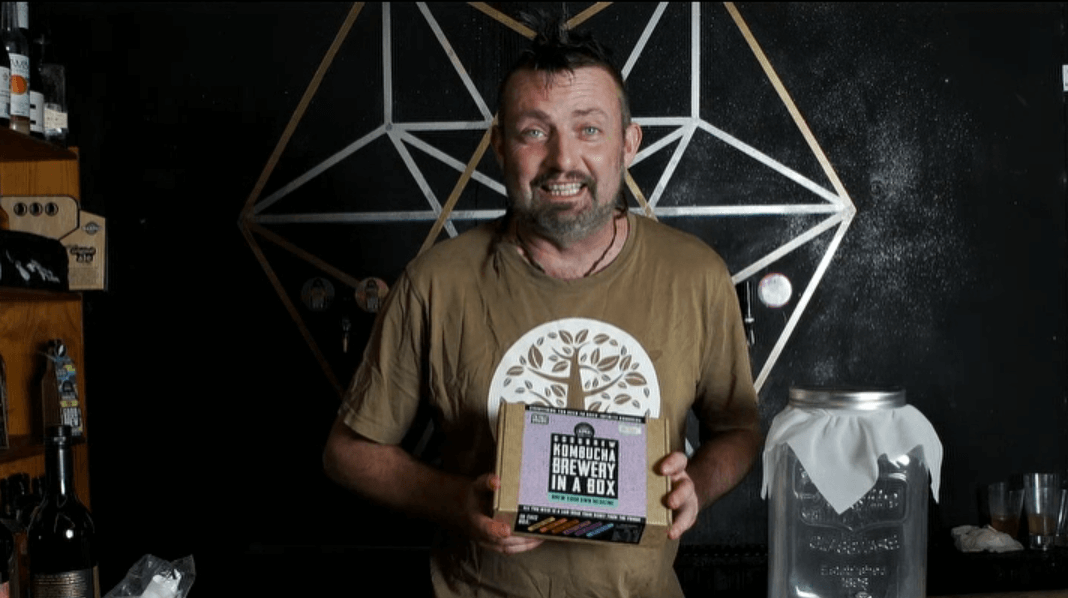 vidbg Mix Of All Current Kombucha Flavours - Good Brew
