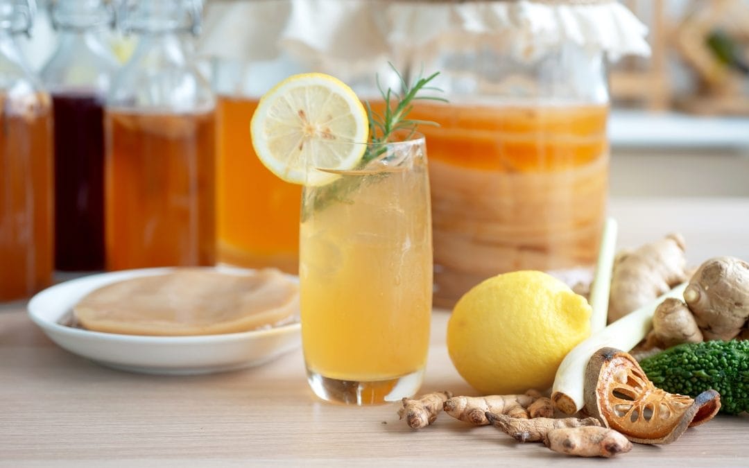 Exploring Kombucha’s Role in Gut-Brain Health
