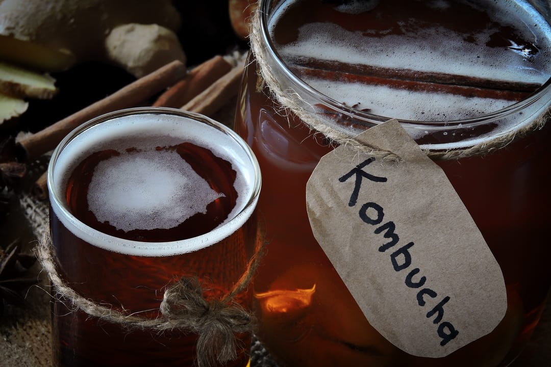 Why Kombucha Is Great for Gut Health<br /> 