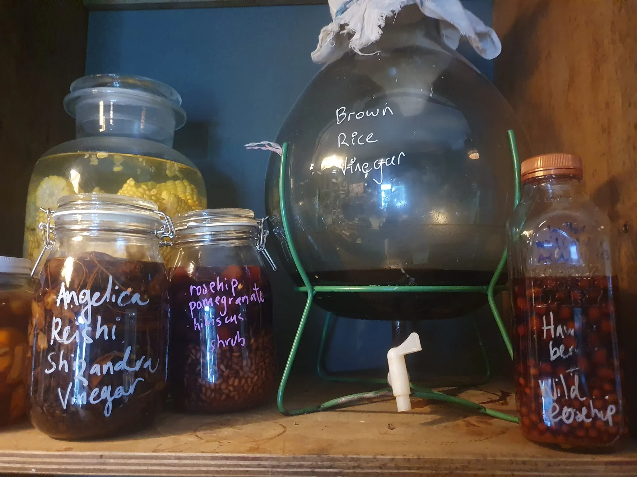 Choosing a Kombucha That Actually Does Something: What to Look For on the Label Kombucha Complete 6 Pack - Good Brew