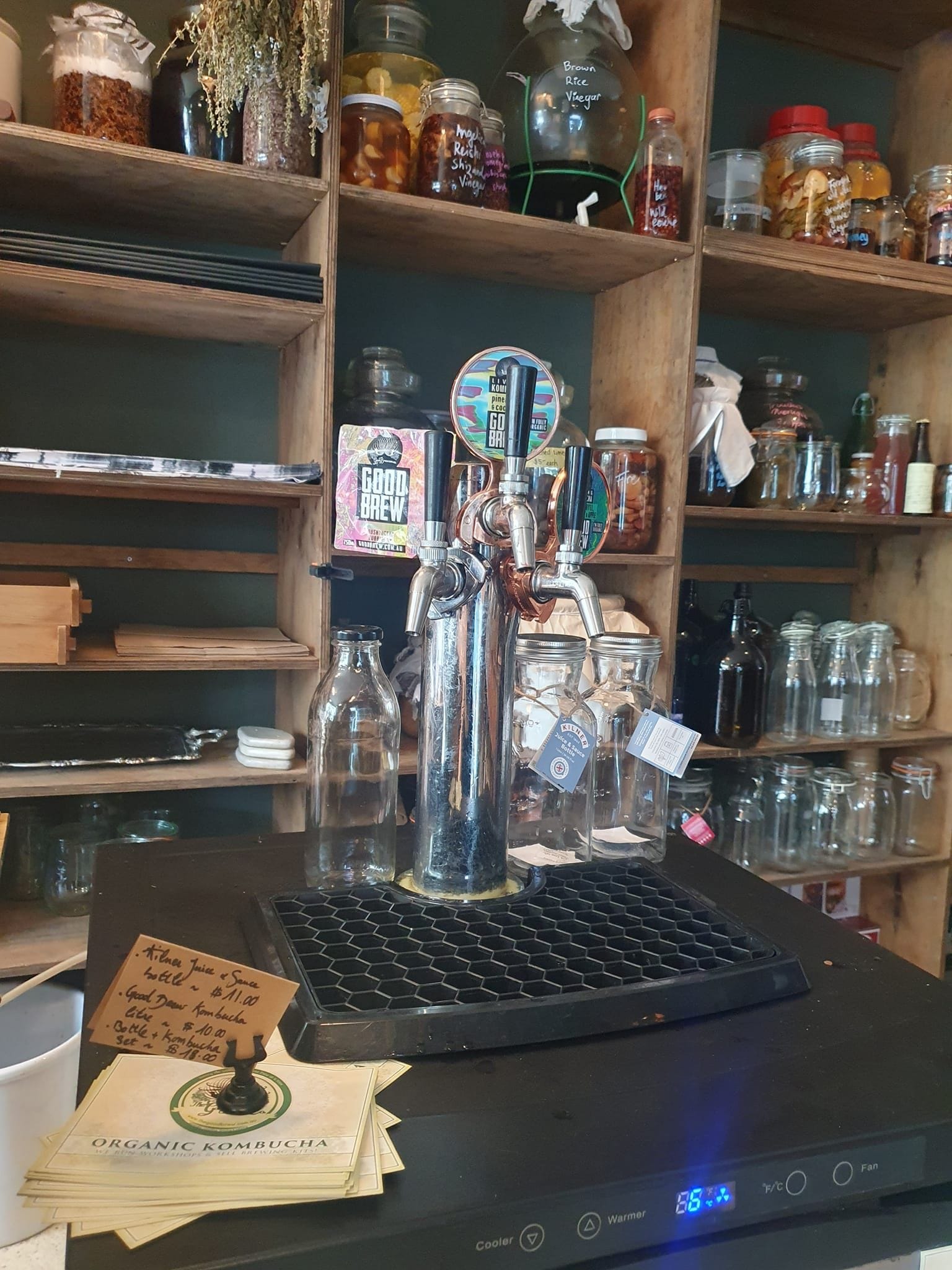 Choosing a Kombucha That Actually Does Something: What to Look For on the Label Kombucha | Australia