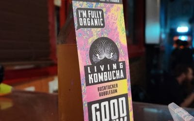 Choosing a Kombucha That Actually Does Something: What to Look For on the Label
