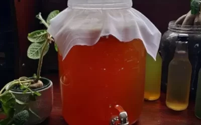 What does Raw Kombucha Mean?