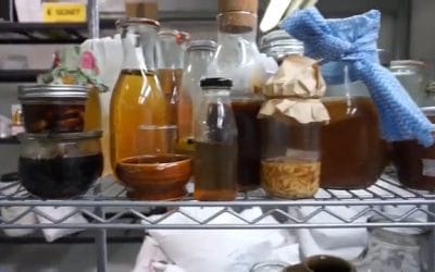 Why Independent Brewers Are Keeping Kombucha Authentic