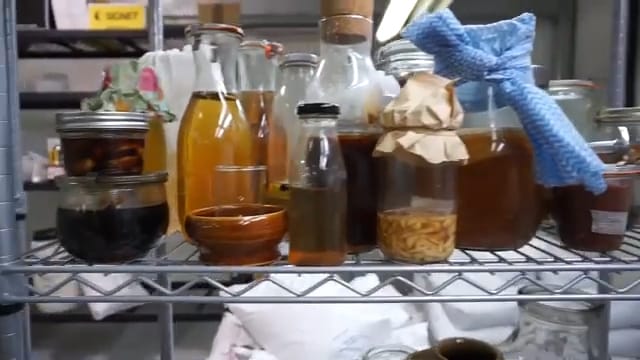 Why Independent Brewers Are Keeping Kombucha Authentic