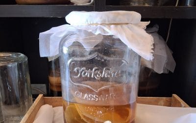 Is Kombucha Alcoholic? Separating Fact from Fiction