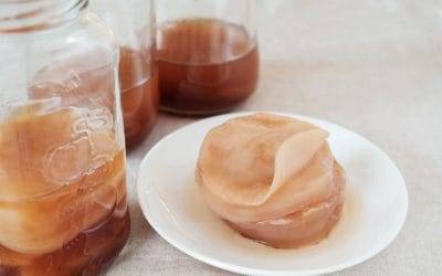 What Is a SCOBY? The Microbial Powerhouse Behind Real Kombucha