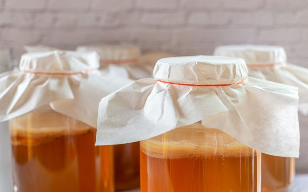 The Changing Taste of Kombucha: From Sharp Ferments to Fruity Blends