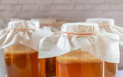 The Changing Taste of Kombucha: From Sharp Ferments to Fruity Blends