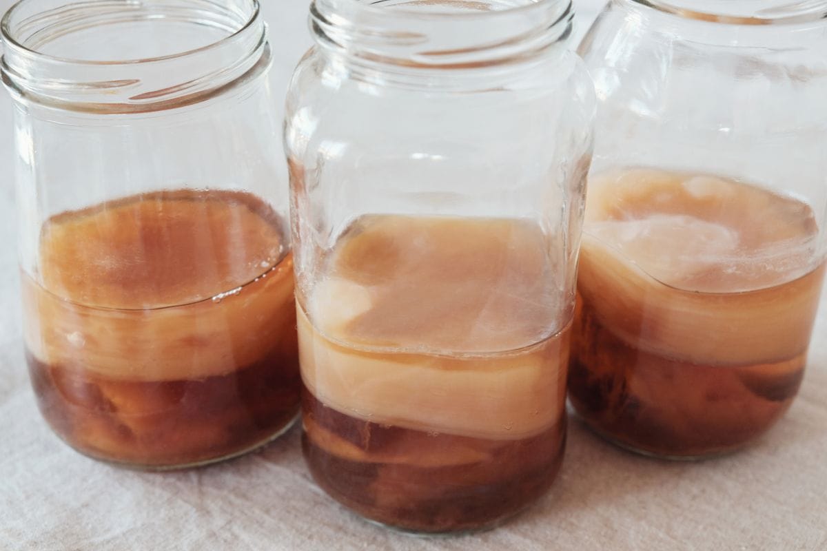 Kombucha Jar | Fermentation Jar