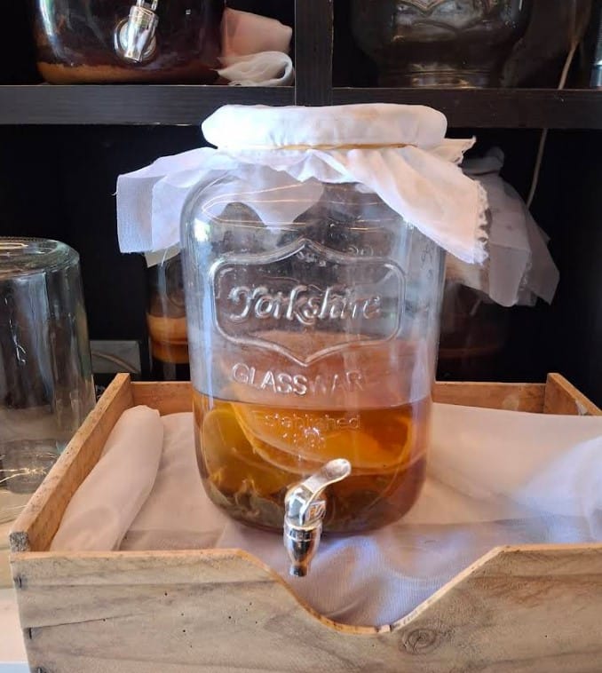 kombucha australian