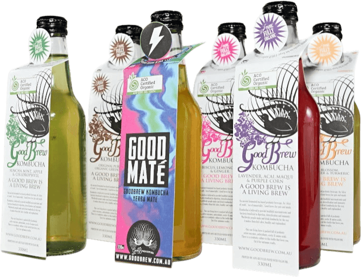 Kombucha Scoby Starter Kit - Good Brew