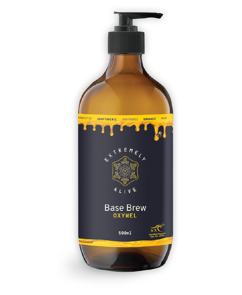 Base Brew Oxymel