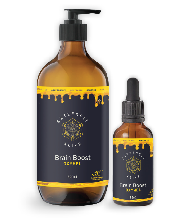 Brain Boost Oxymel