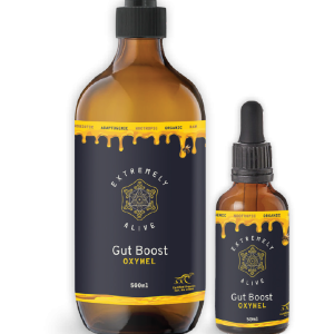 Gut Boost Oxymel