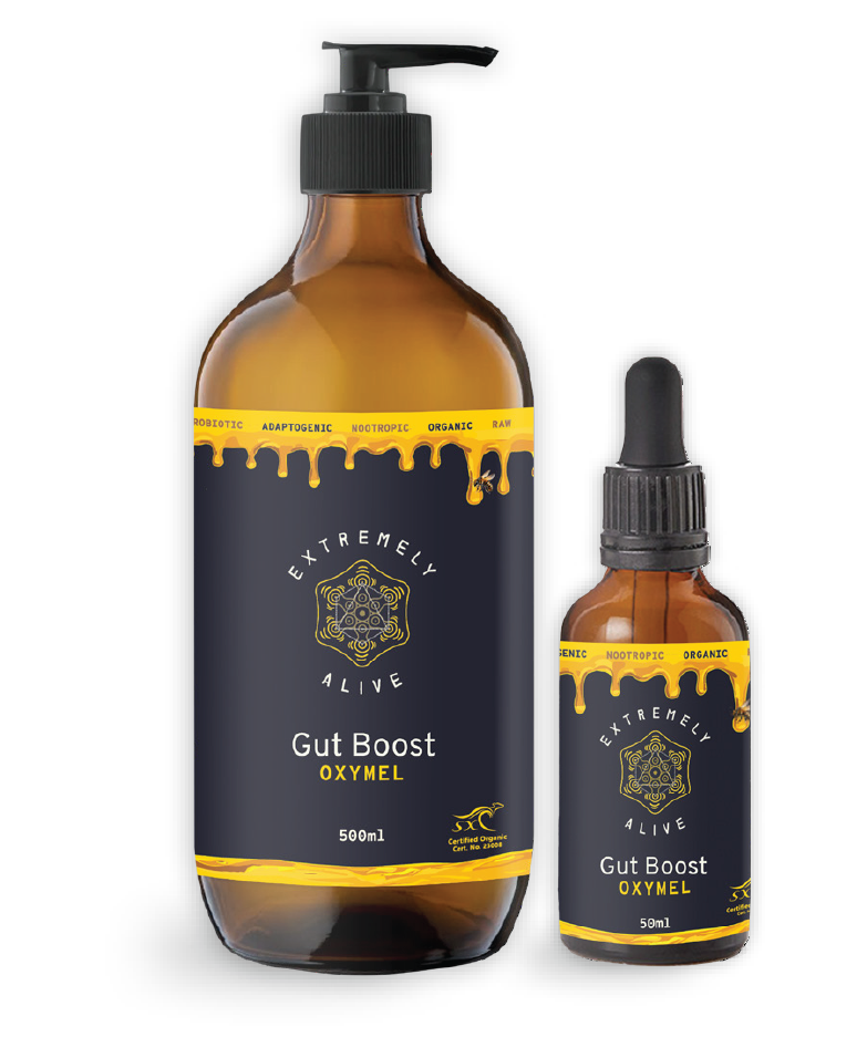 Gut Boost Oxymel