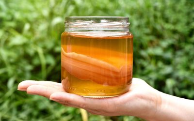 Are You Doing the 3pm Kombucha? Australia’s Best New Habit