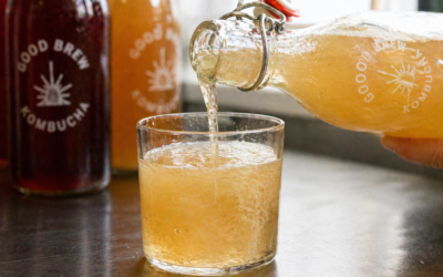 Probiotics vs prebiotics: what kombucha actually delivers (and what it doesn’t)